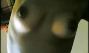 Gola djevojka film analny uživa u svom tijelu. porno video