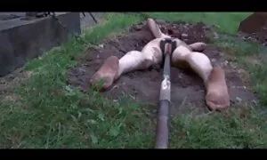 Romantična večer glatko anal mature movie se pretvorila u seks porno video