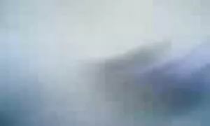 Popeo sam full anal film se na tipa odozgo porno video