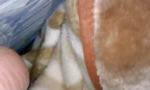 Zabrinuta žena želi film sex anal porno porno video